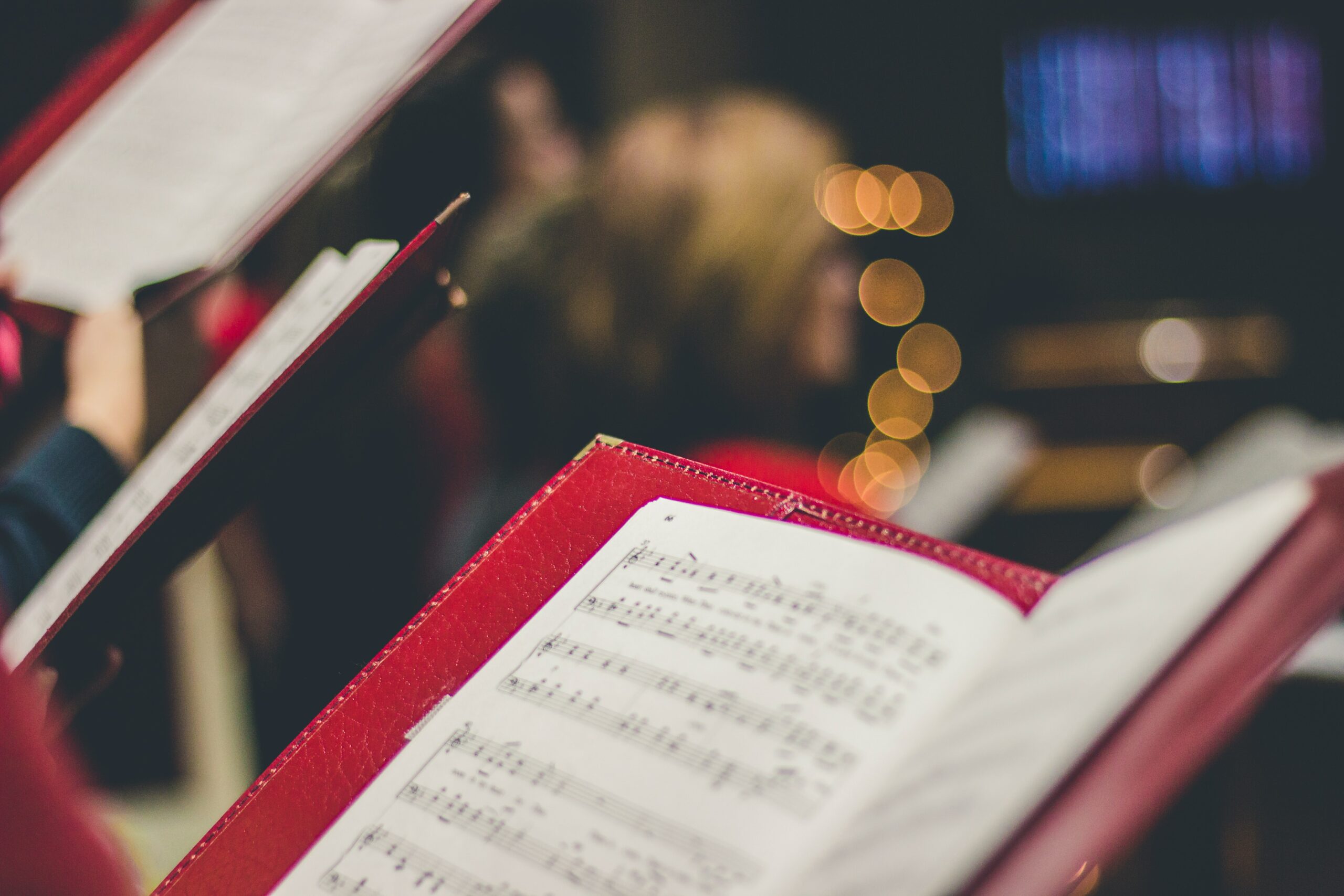 David Beale GOsGgt4olNs Unsplash