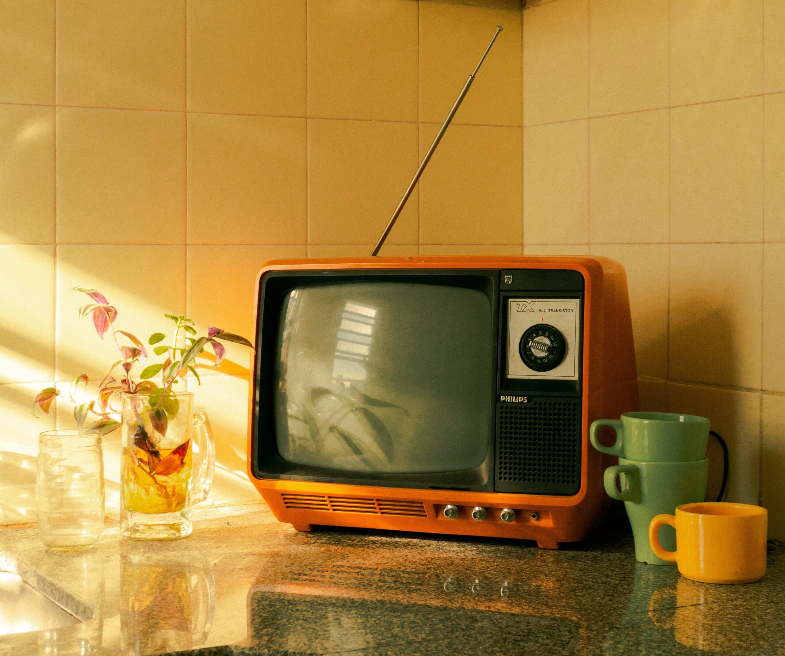 Francisco Andreotti MwrpaS 6f2U Unsplash