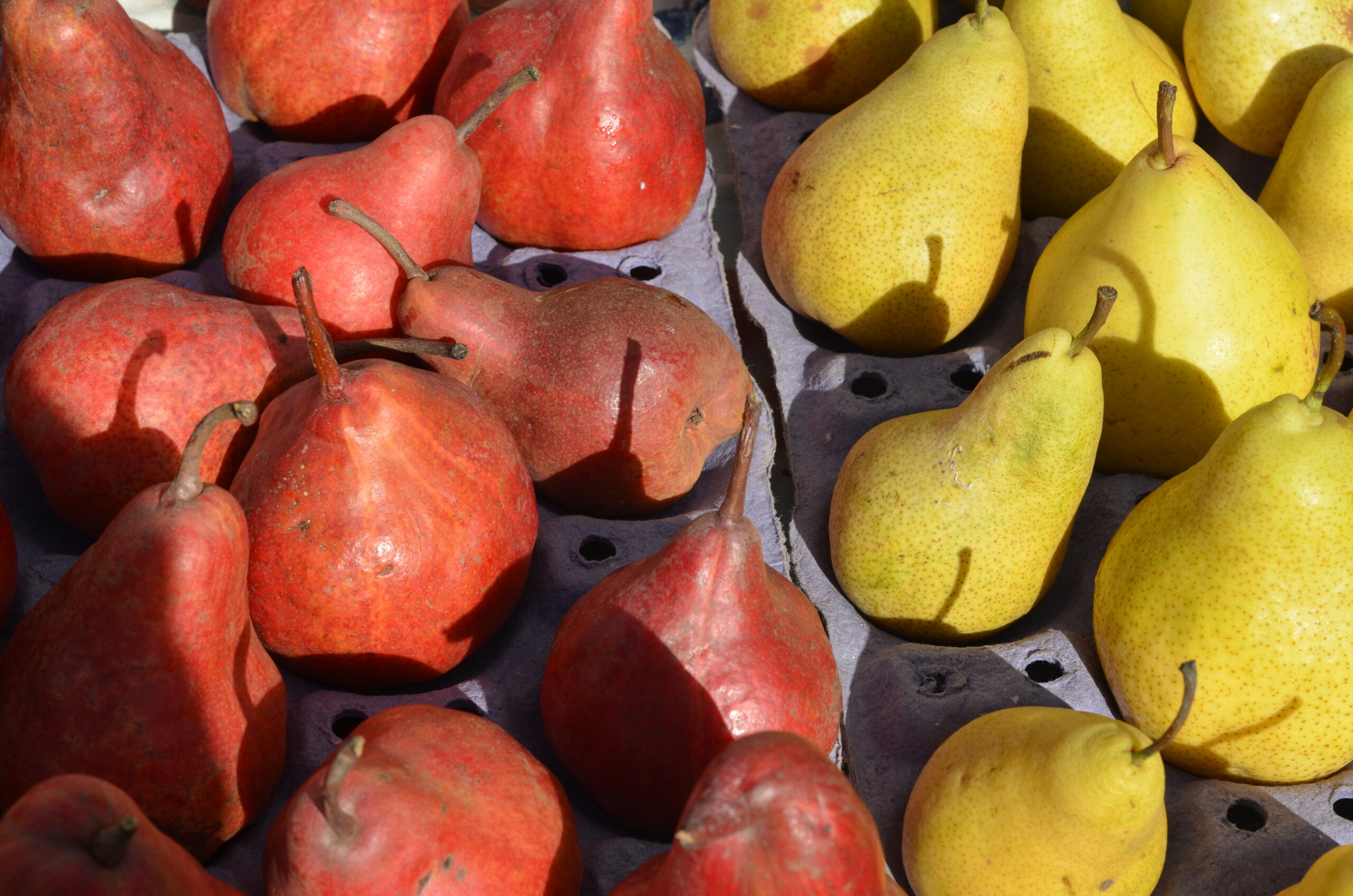 Pears