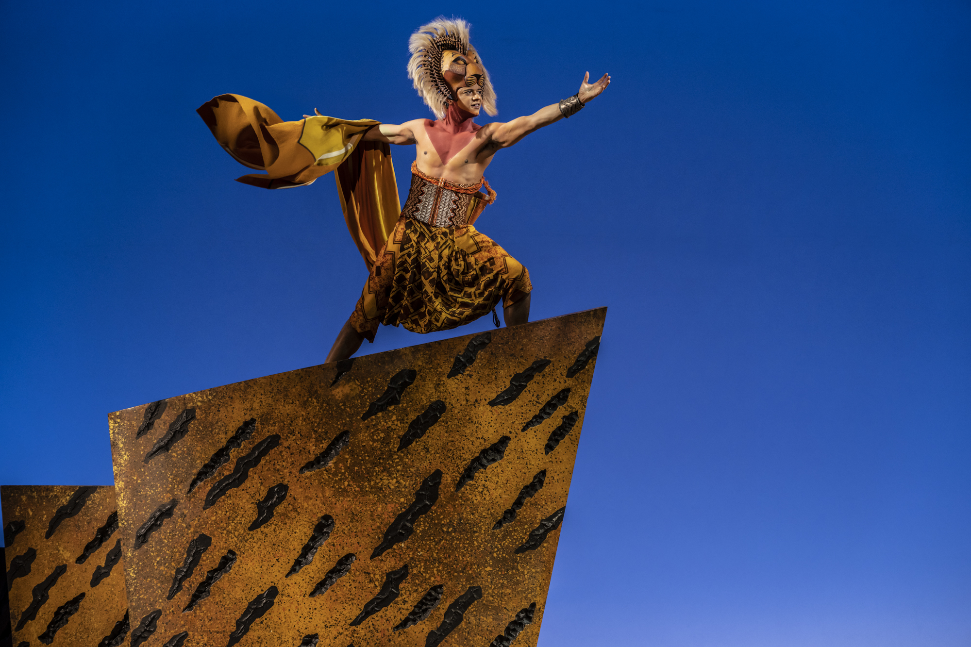 The Lion King