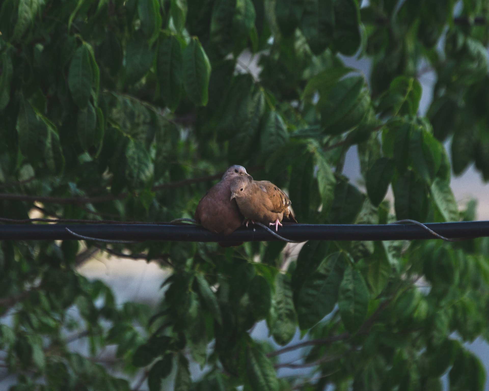 Bruno Oliveira RUvT7BbMV6A Unsplash