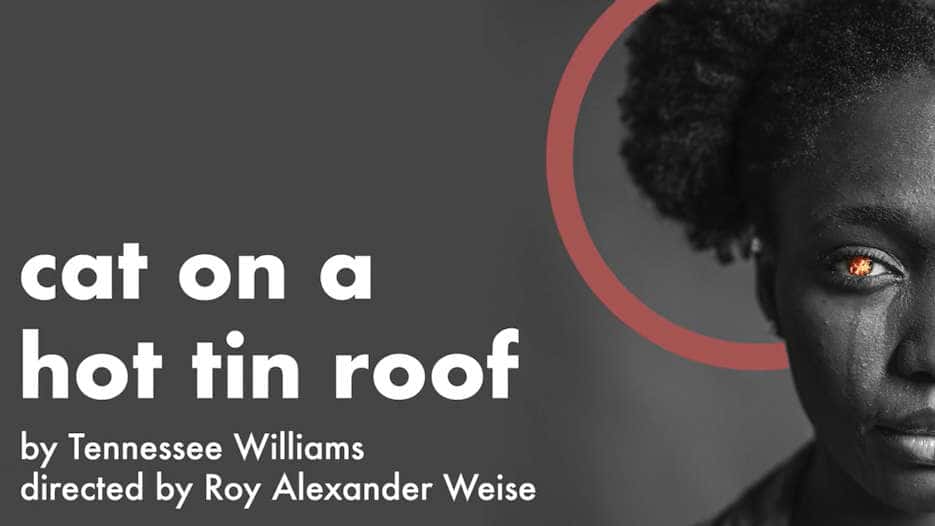 Cat on a Hot Tin Roof