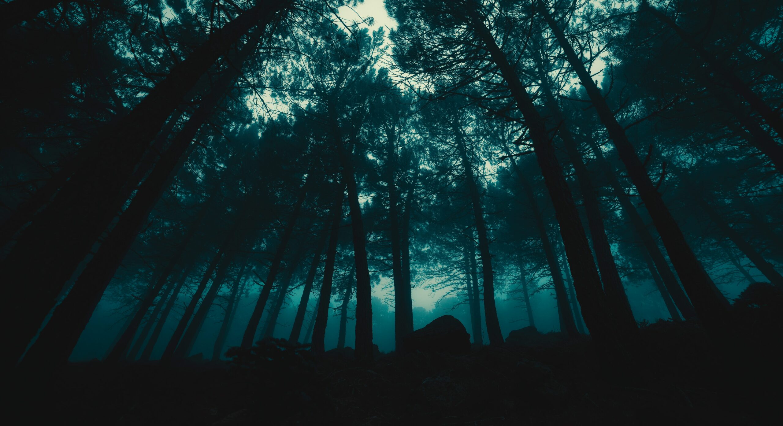 Jr Korpa OQ8Jc7kBmA Unsplash