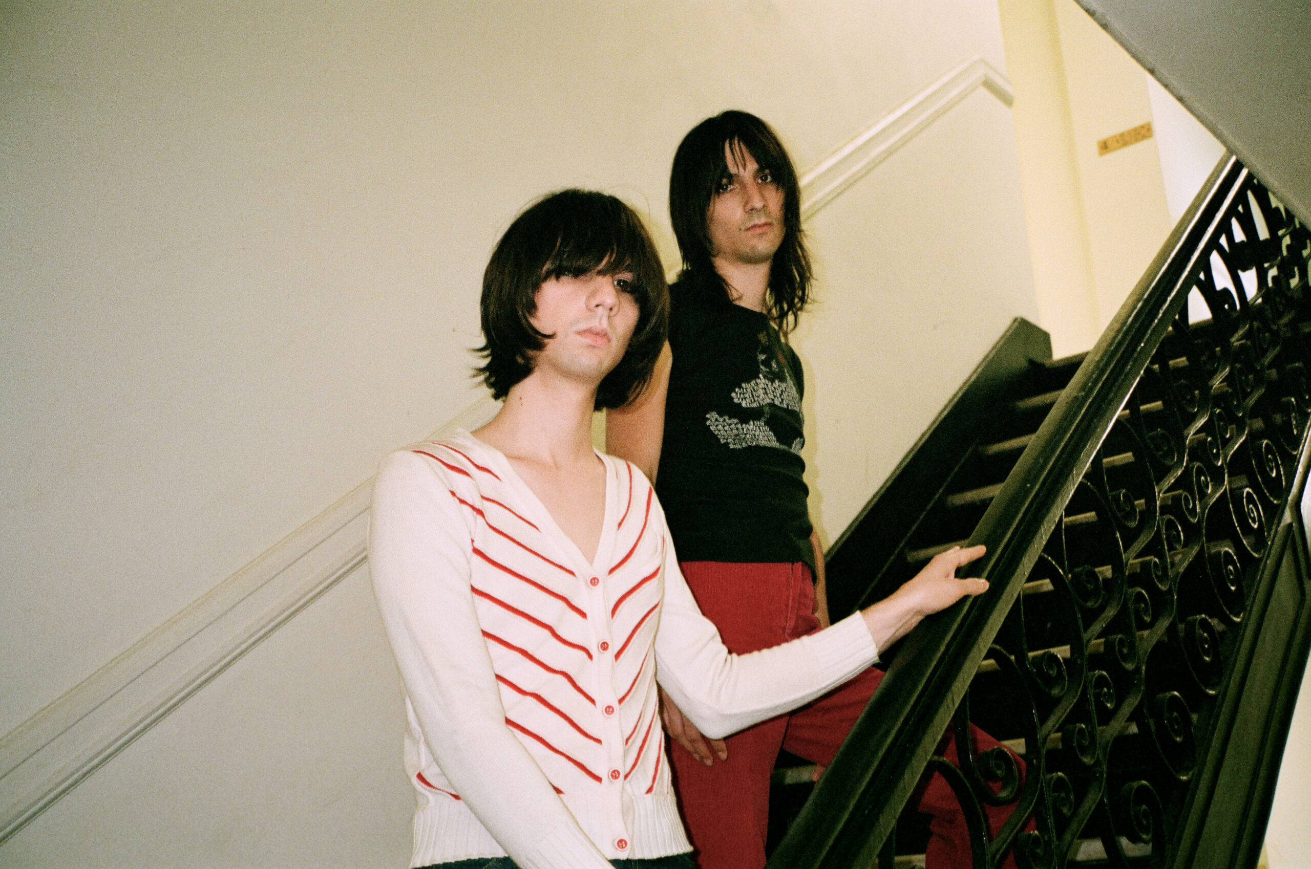 the lemon twigs