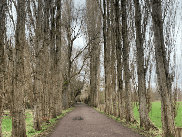 Fletcher Moss walks