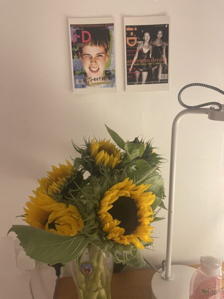 Sunflowers in a student room