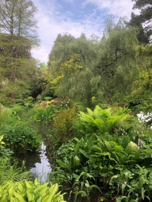 Fletcher Moss Botanical Gardens
