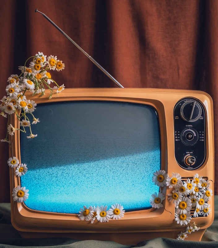 pexels-işıl-17233395