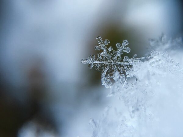Close up of a snowflake winter aesthetic