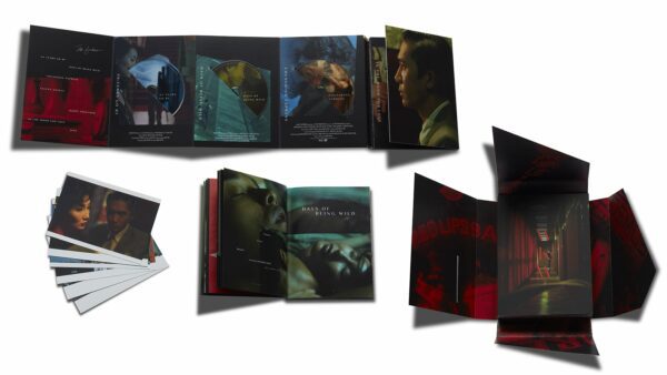wong kar wai boxset criterion