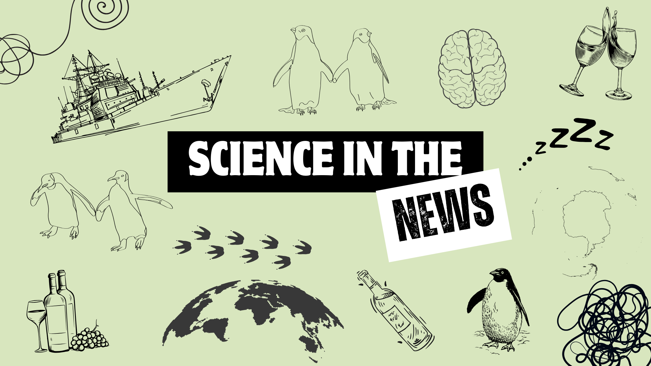 Science in the news 4 Sleepy penguins, record-breaking icebergs and the end of wine fraud