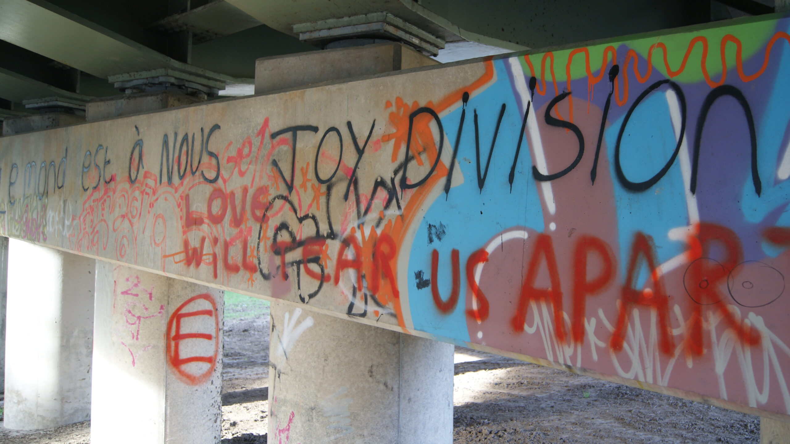 SONY DSC