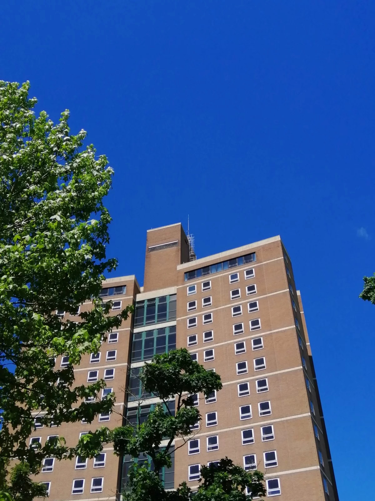 Owens Park Tower Ghosts
