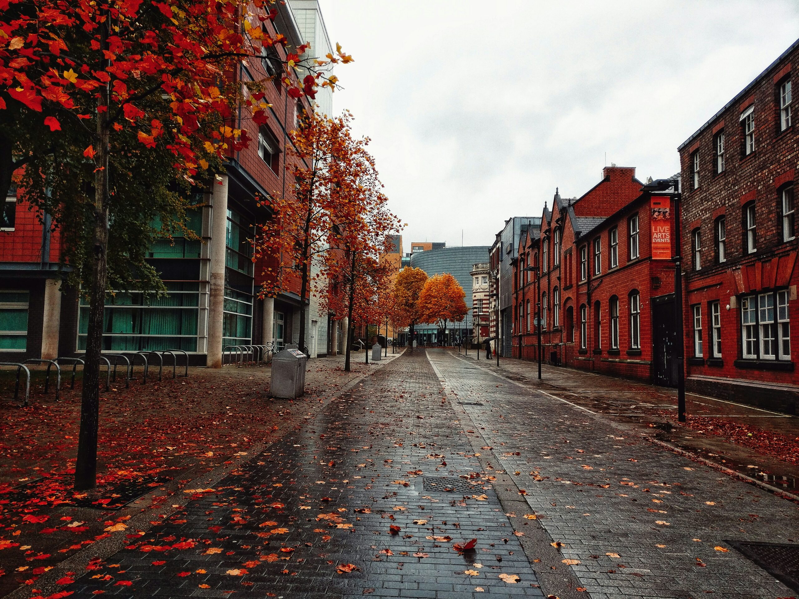Daytime Road near Buildings