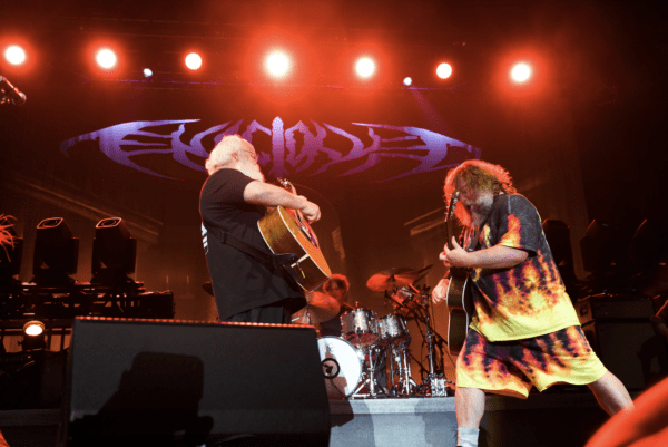 tenacious d