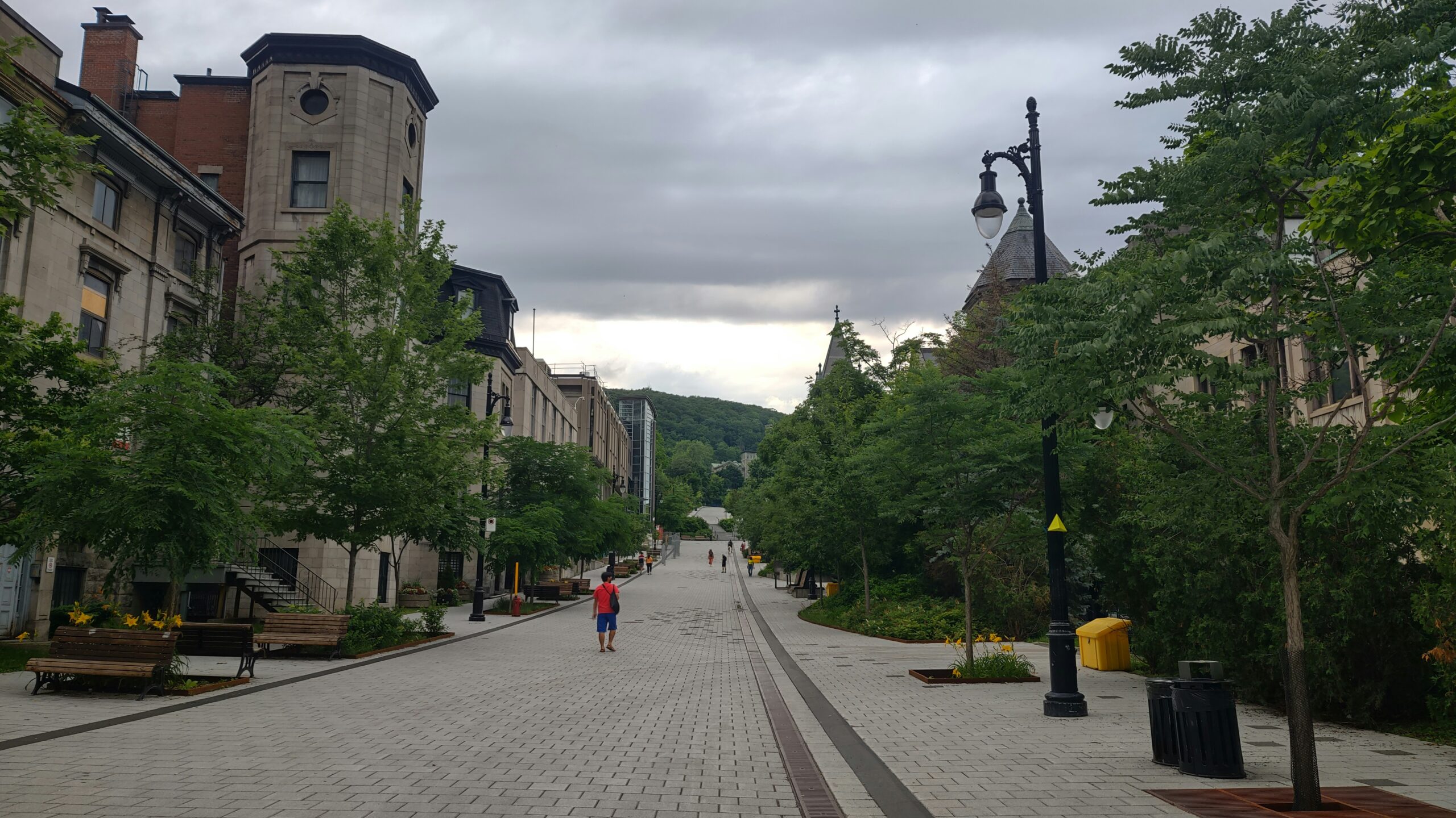McGill university