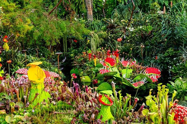 20190819_Gardens_by_the_Bay_LEGO_art-3