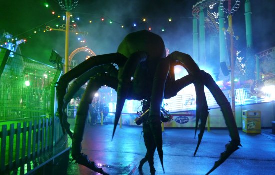 arachnobot