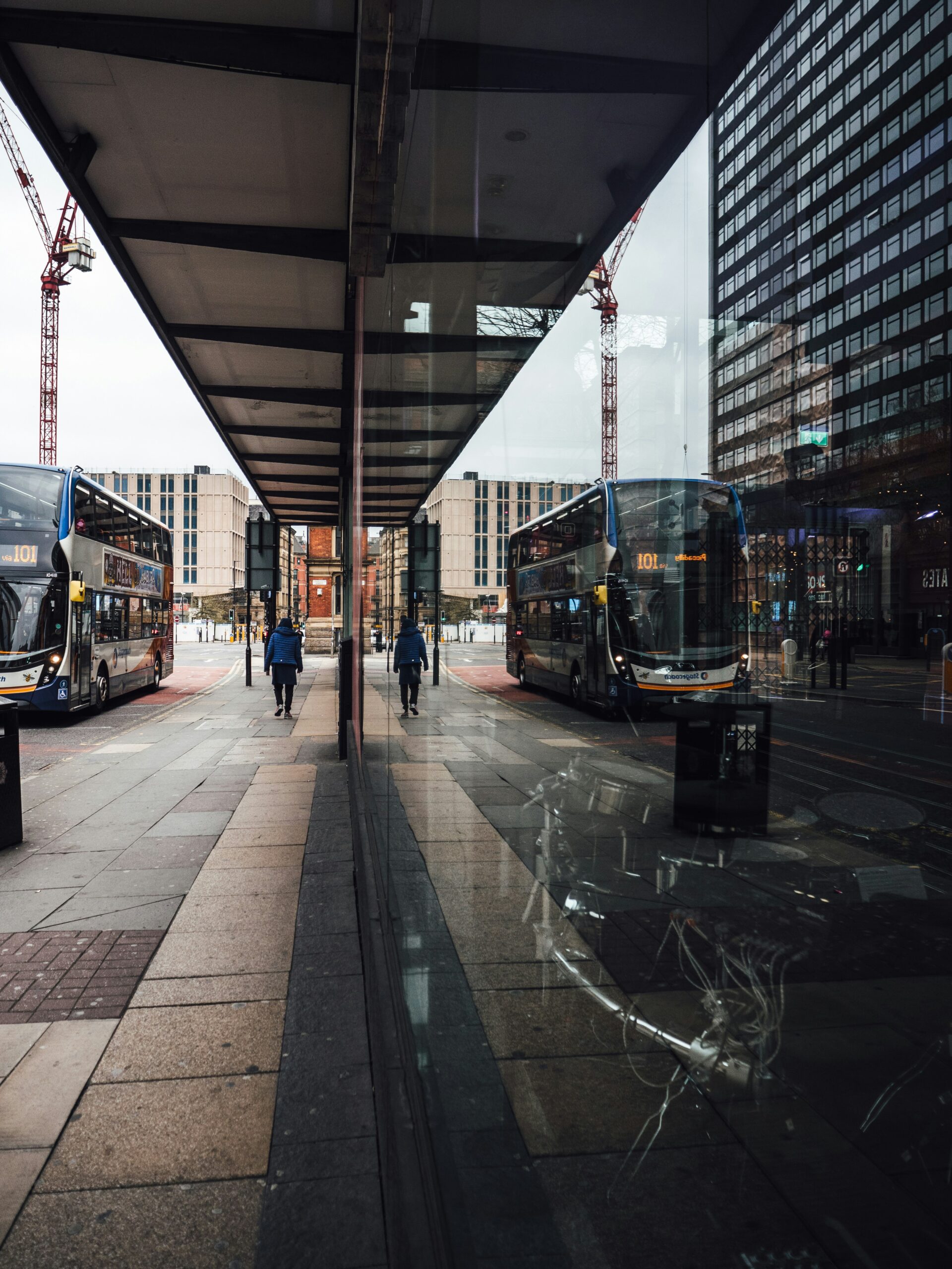 bus