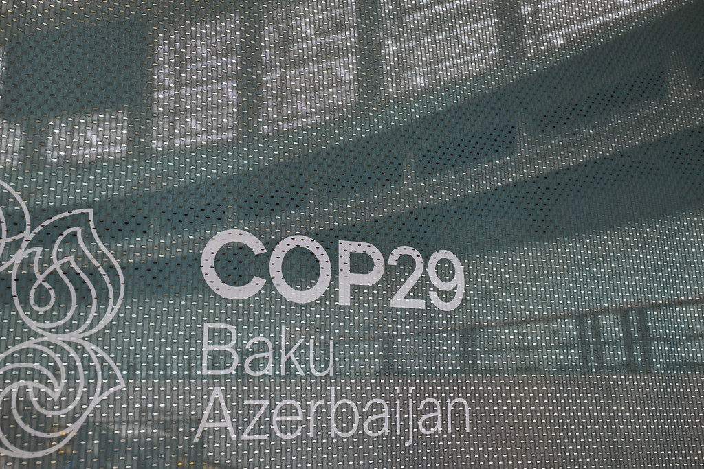 COP29 banner