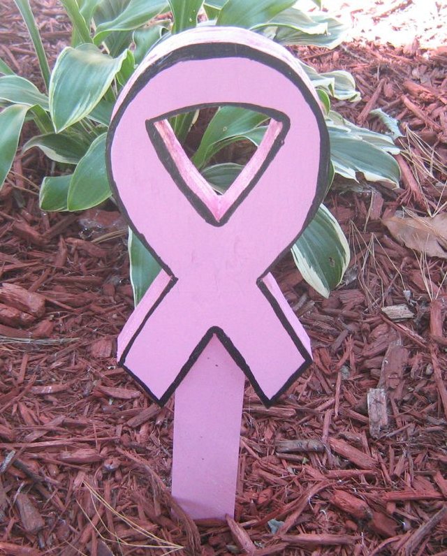 Breast_cancer_ribbon_(1615456888)