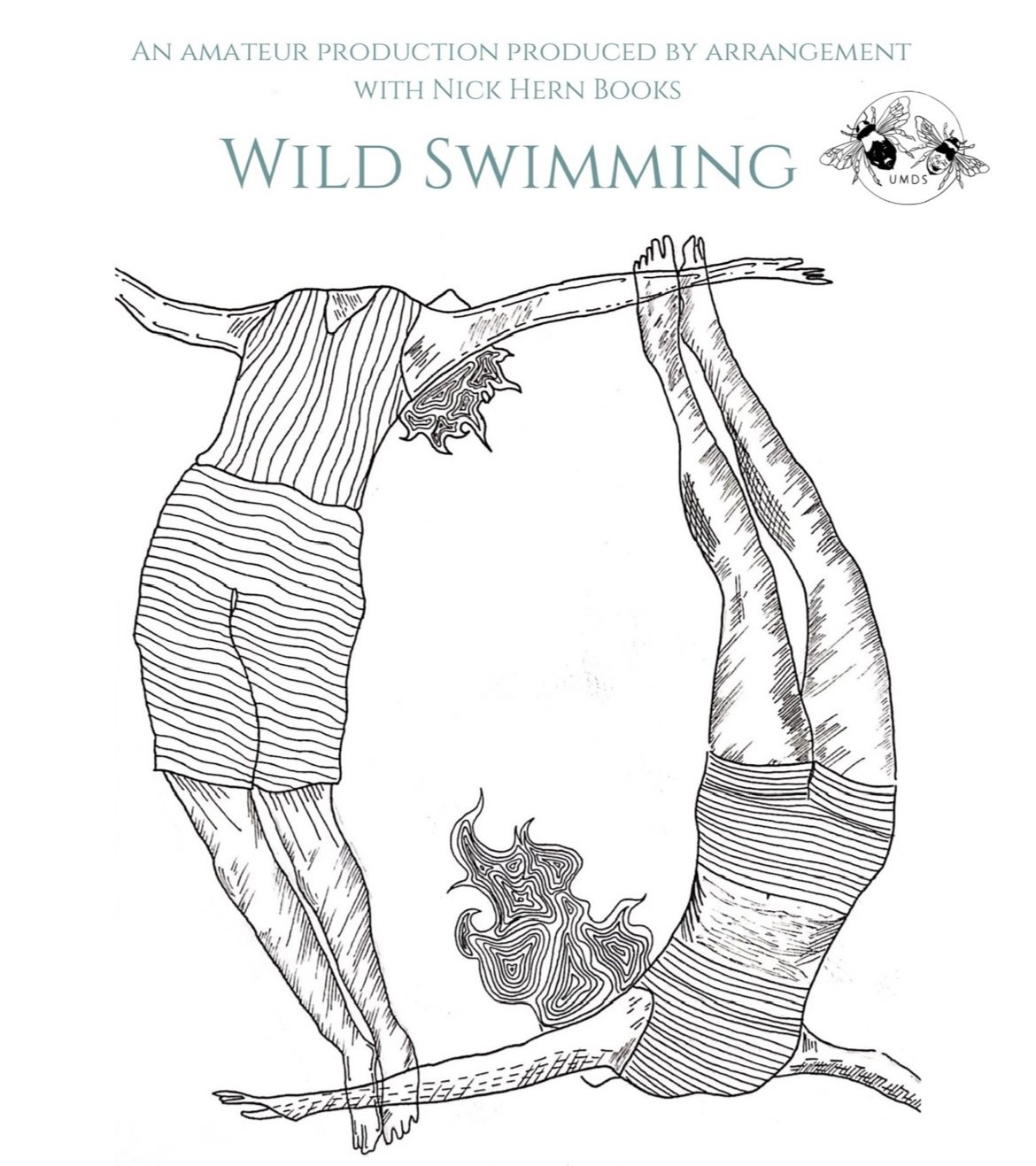 wild swimming cover