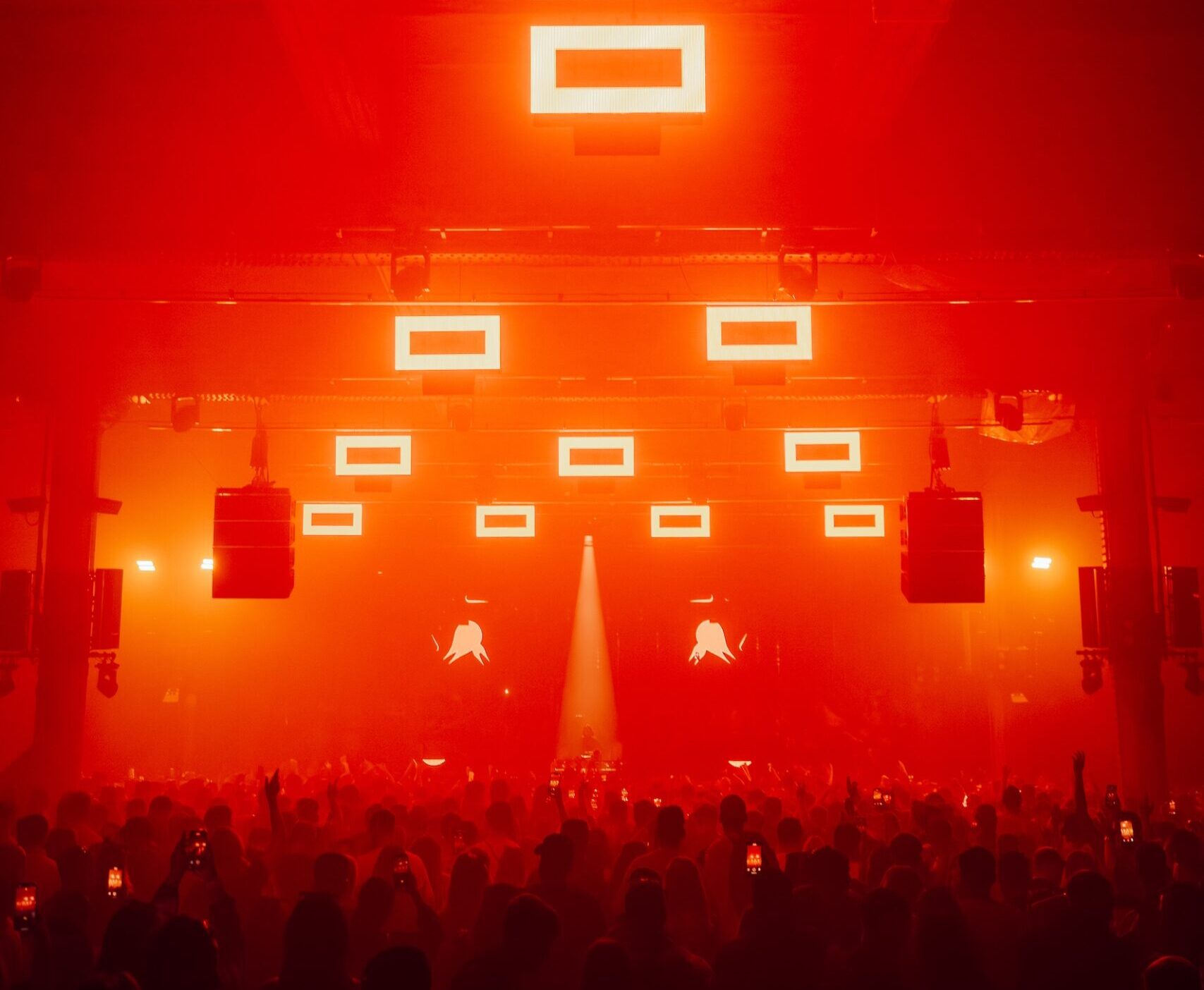 DSC_5196