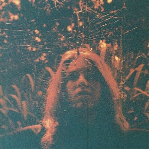 Turnover_-_Peripheral_Vision