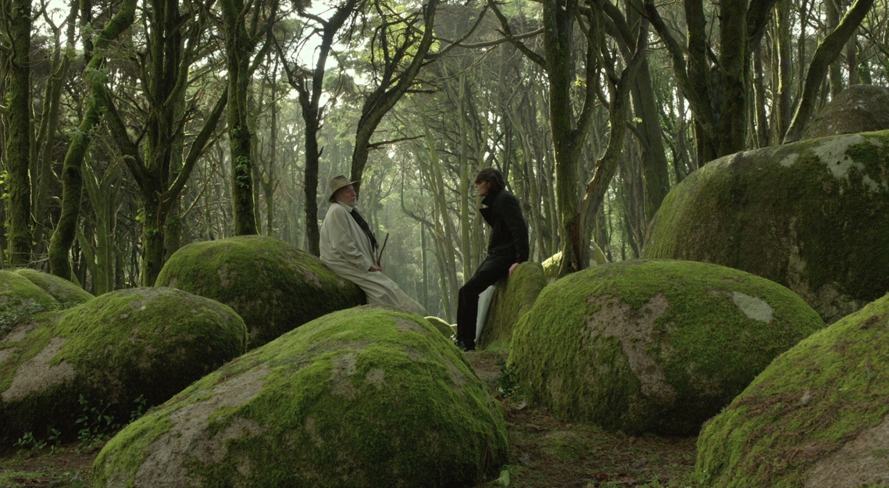 Cosmos film bro article