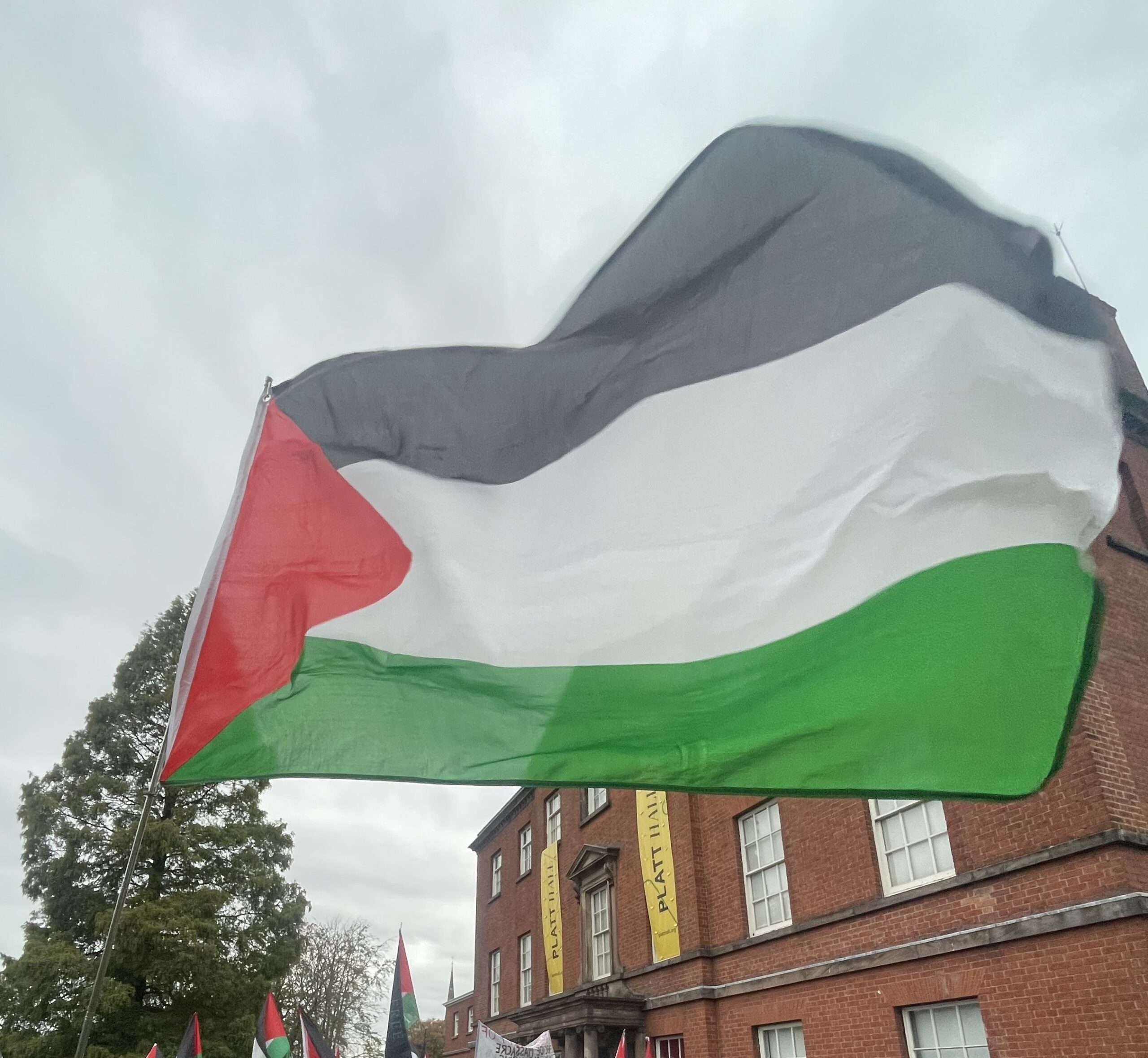 PALESTINEfinal