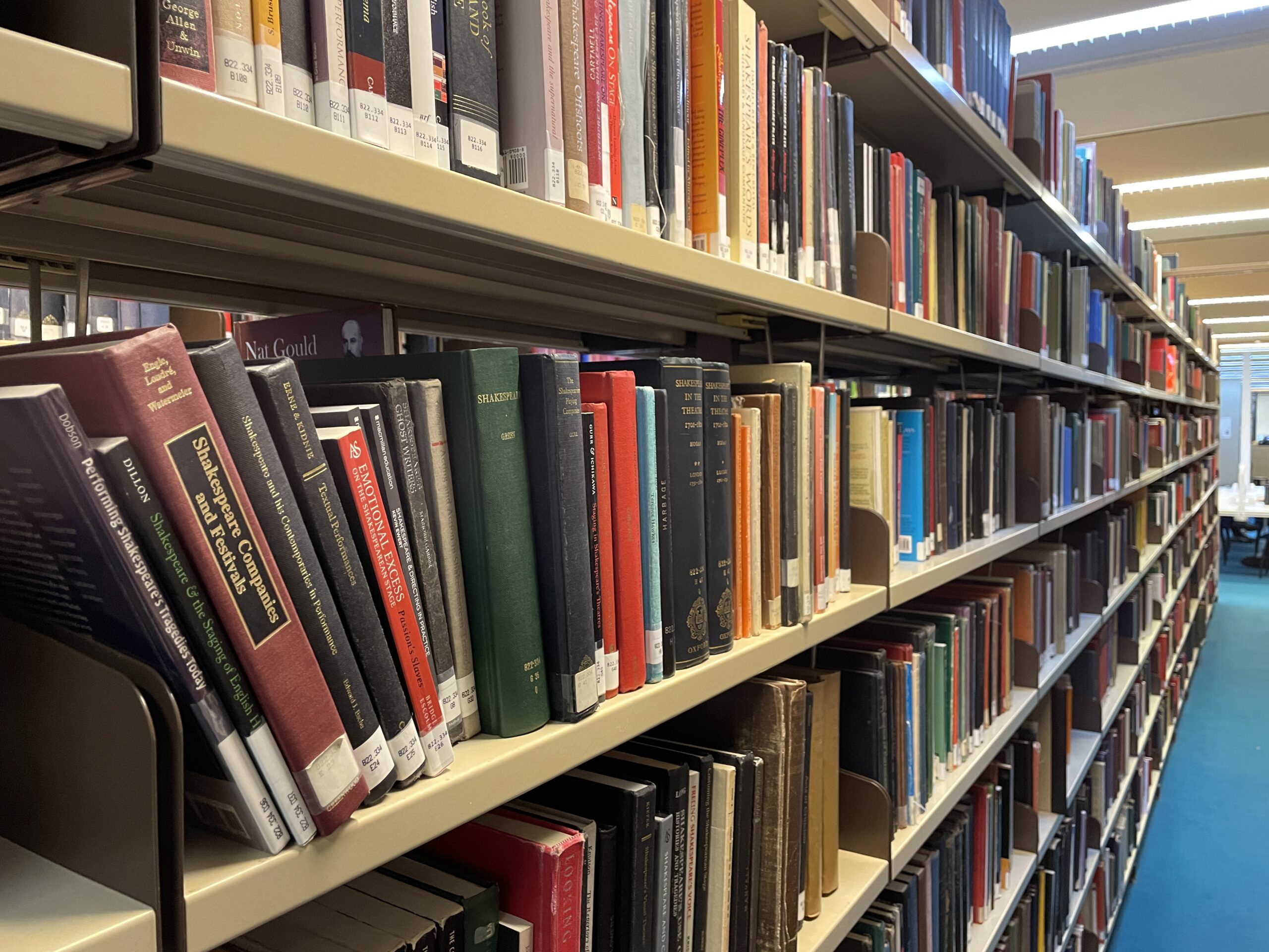 Main Library Shelves