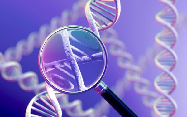 mutation huntington image