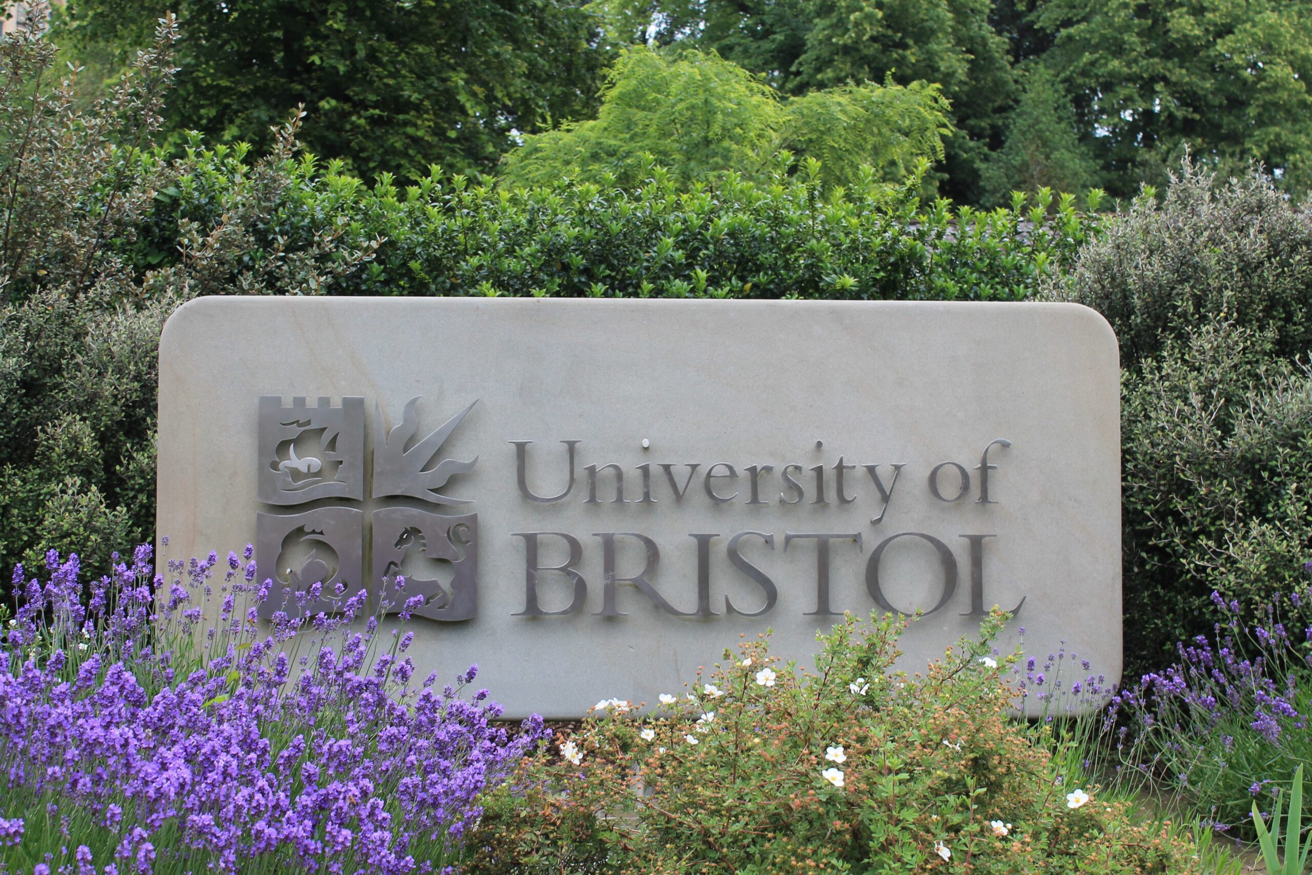 Uni of Bristol