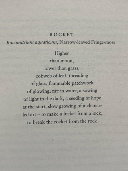 Page 25 of 'Twelve Words for Moss.' Women writer.