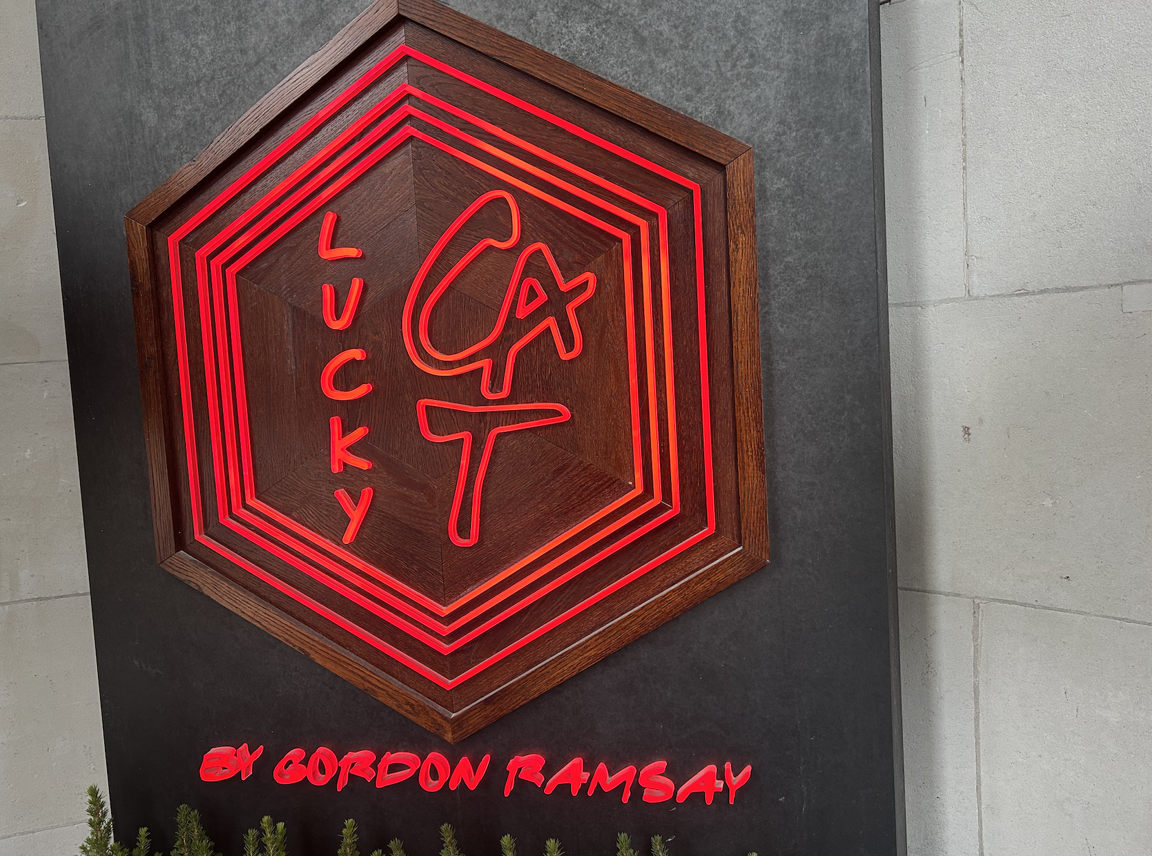 Lucky Cat Logo