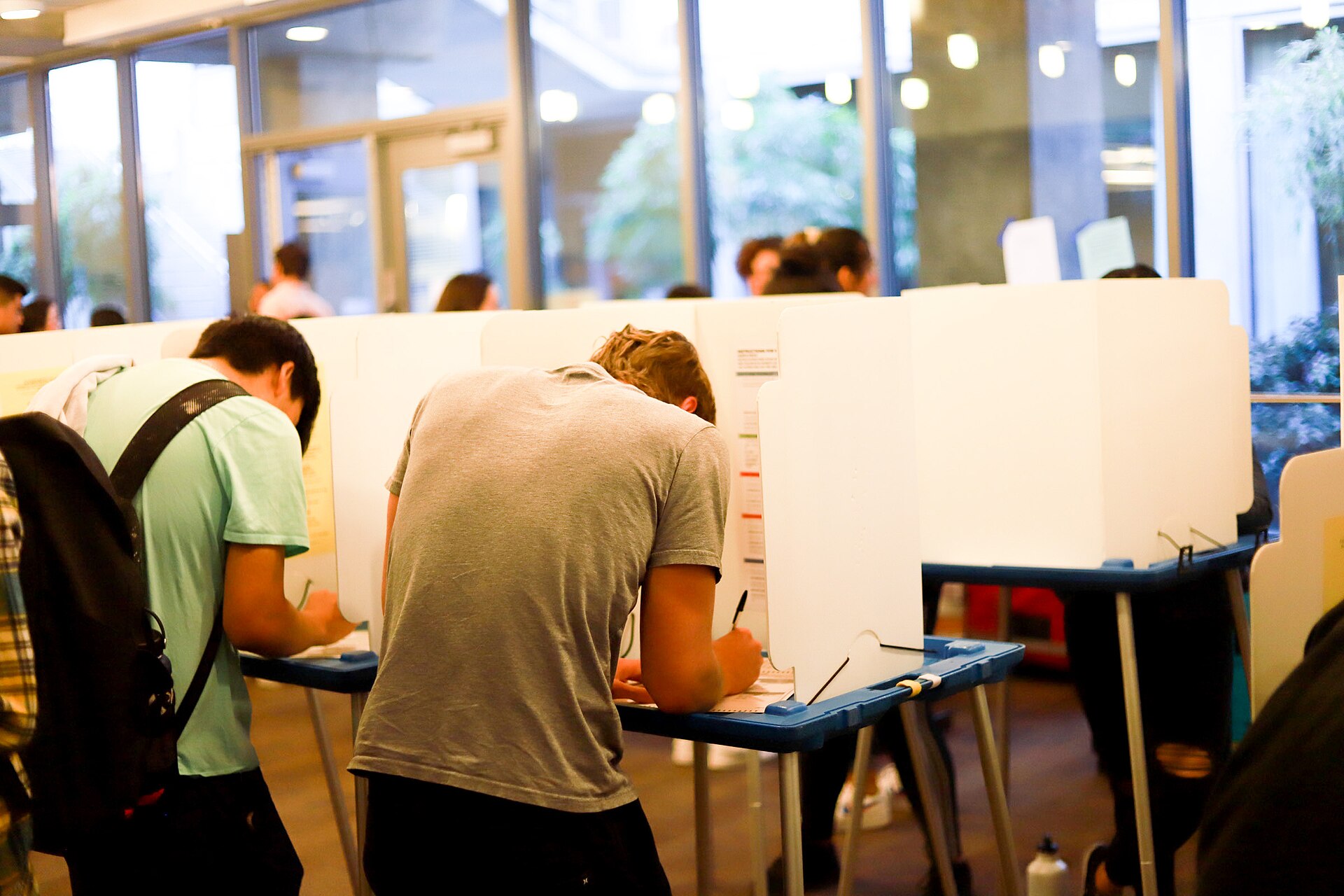 Students voting in election